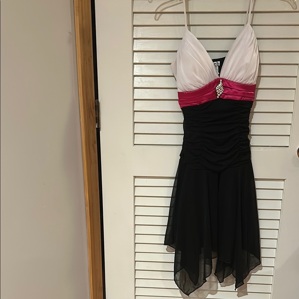 Deb Pink and Black Dress